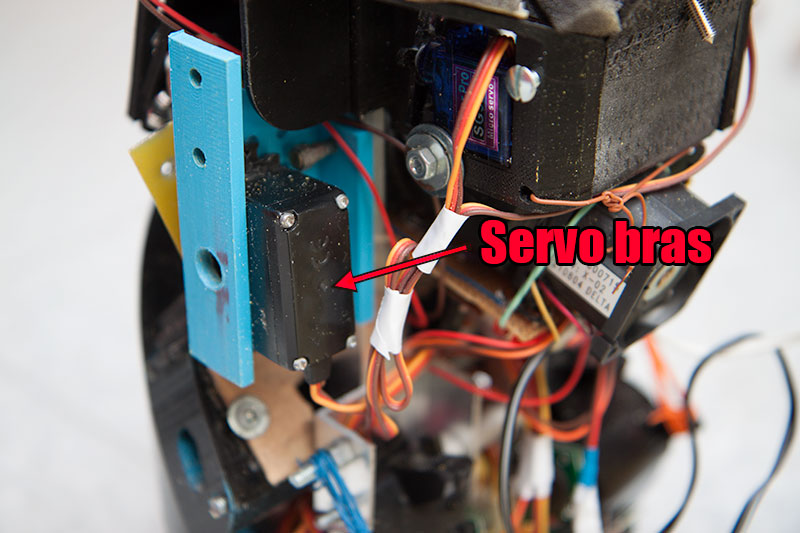 servos bras